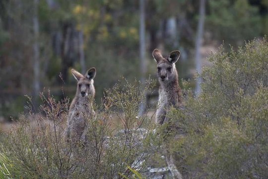 Tour image 11