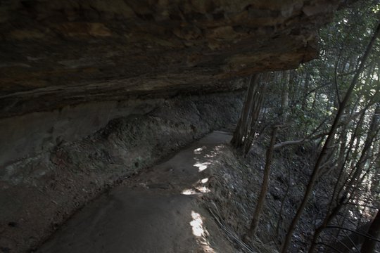 Tour image 11