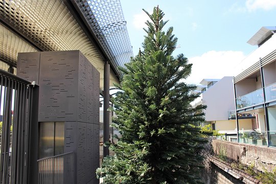 Tour image 10