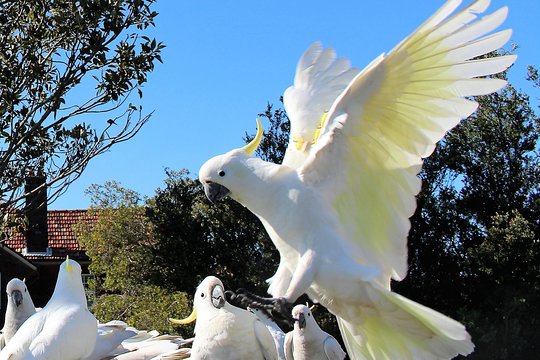 Tour image 10