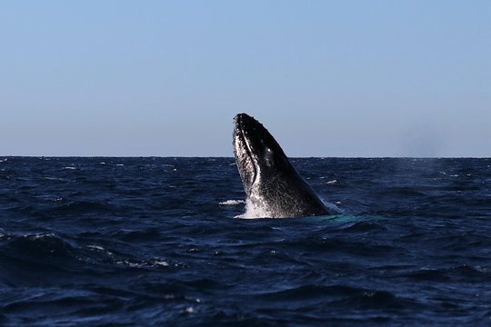 Tour image 8