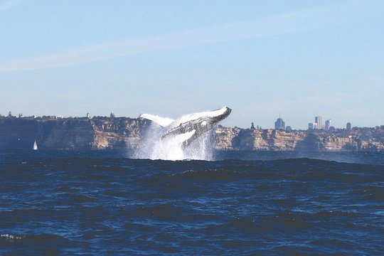 Tour image 3