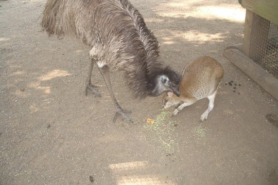 Tour image 3