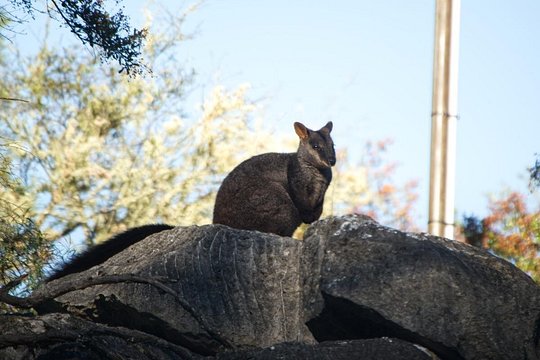 Tour image 1