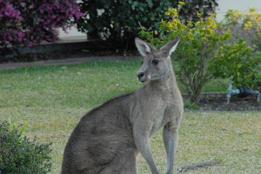 Tour image 5