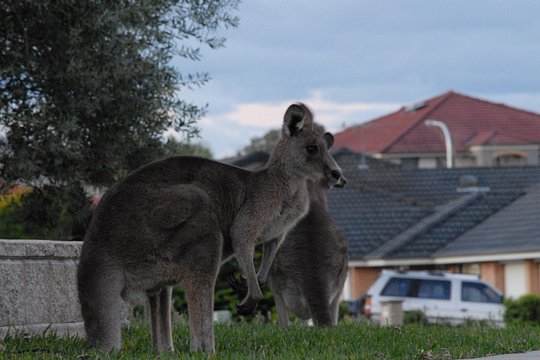 Tour image 4