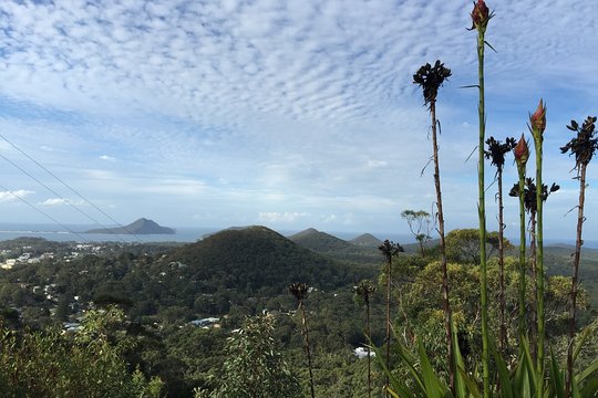 Tour image 5