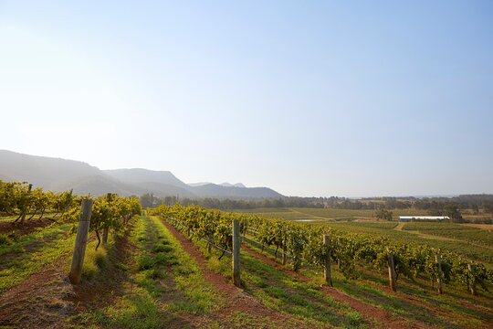 Tour image 5