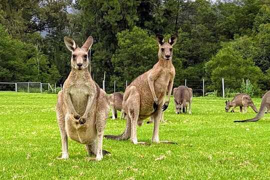 Tour image 10
