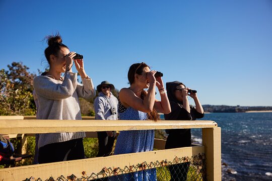 Tour image 4