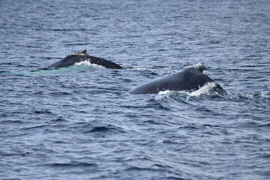 Tour image 6