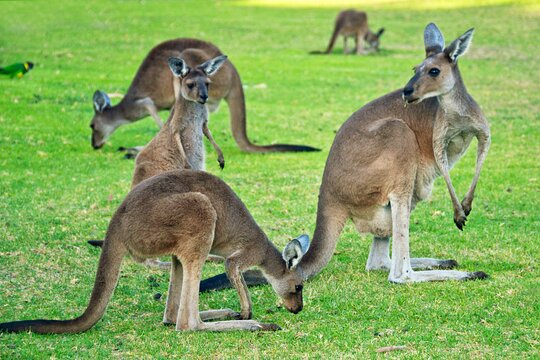 Tour image 1