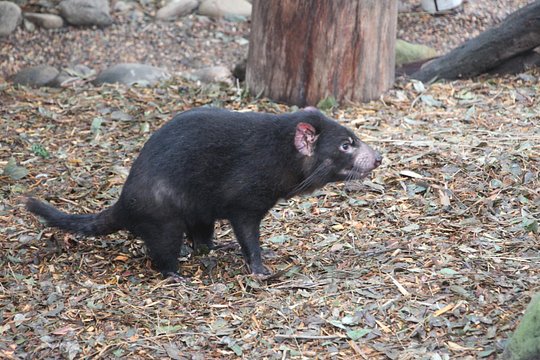 Tour image 7