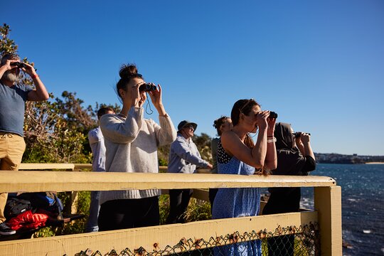Tour image 6